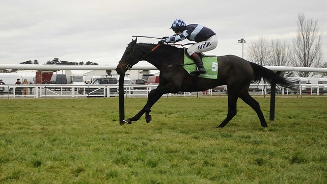 Richard Johnson was one of seven different jockey to taste success on Fair Along