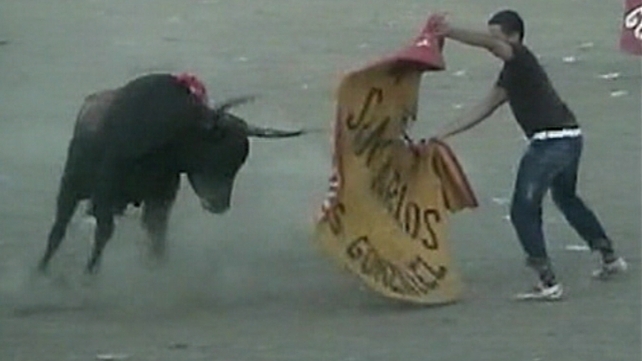 Colombia - An amateur bullfighter risks his life in the arena Colombia - An amateur bullfighter risks his life in the arena
