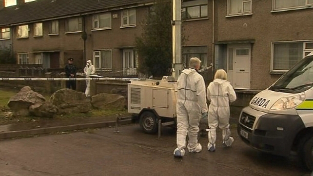 Desmond Kelly and Breda Waters were killed at O'Malley Park last year Desmond Kelly and Breda Waters were killed at O'Malley Park last year