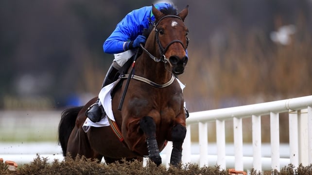 Hurricane Fly - Will now look to have only one run before he defends his hurdling crown