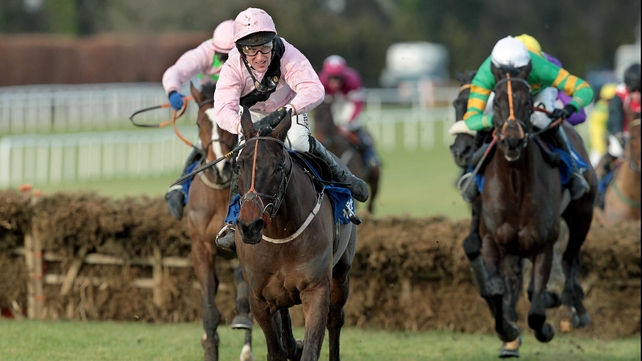 Oscars Well fell at Punchestown on Sunday
