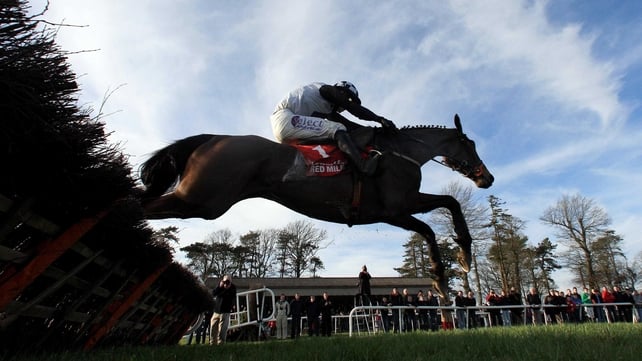 Dunguib hasn't seen a racecourse since the Cheltenham Festival of 2011