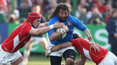 Bergamasco Scrum Half