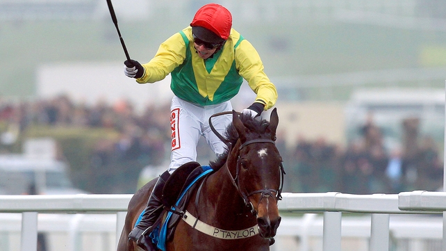 Sizing Europe and Andrew Lynch - Cheltenham Champion set for Punchestown appearance