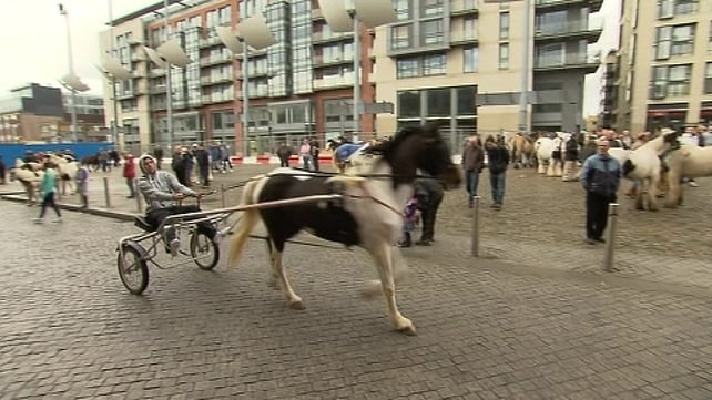 First Smithfield horse fair since new by-laws introduced underway in Dublin First Smithfield horse fair since new by-laws introduced underway in Dublin