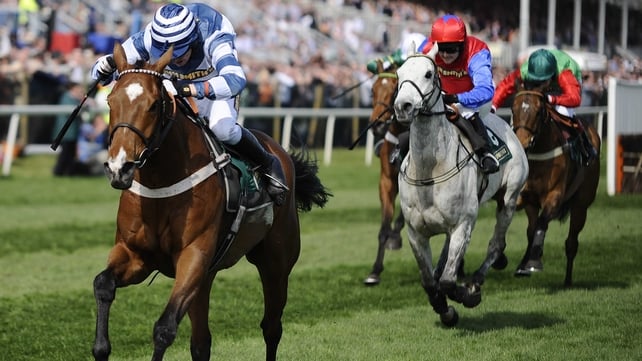 Oscar Whisky and Thousand Stars could lock horns again in this year's World Hurdle