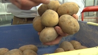 MEPs pass legislation on GMO crops MEPs pass legislation on GMO crops