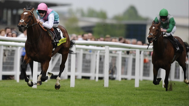 Frankel - The Qipco 2000 Guineas and Epsom Derby favourite made an impressive return at Newbury
