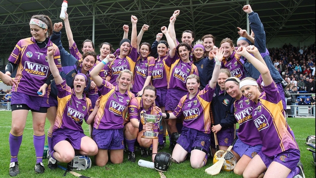 Wexford will be favourites to retain their title