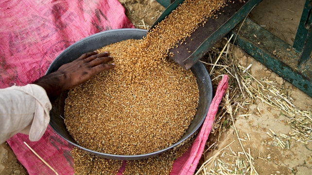The rise in cereal prices reflected concern about supplies from Ukraine The rise in cereal prices reflected concern about supplies from Ukraine