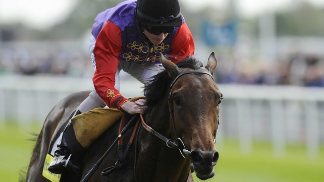 Carlton House is set to resume action once again at his owner's track