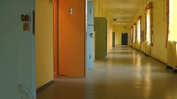 Call for review of mental health policy Call for review of mental health policy