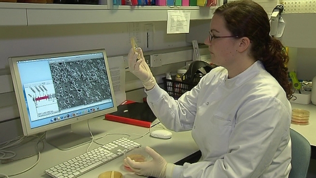 MRSA discovery - Trinity researchers involved in find MRSA discovery - Trinity researchers involved in find