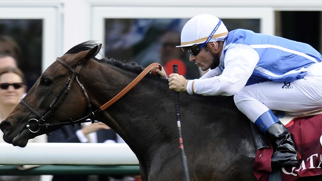 Goldikova was beaten by Immortal Verse at Deauville