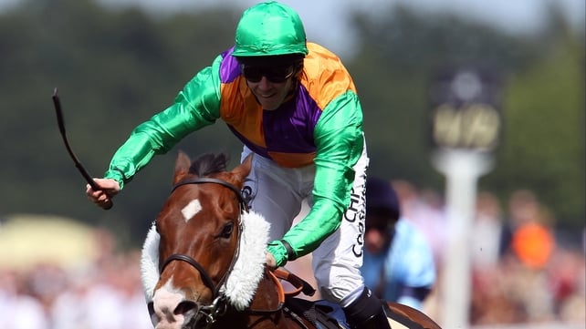 Jim Crowley is expected to remain in the plate as Prohibit bids for a second consecutive Group One win