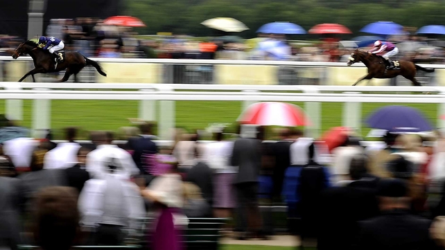 Brown Panther finished well down the field at Longchamp