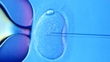 IVF and Infertility