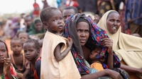 Contraception saves 250,000 lives each year: Study Contraception saves 250,000 lives each year: Study