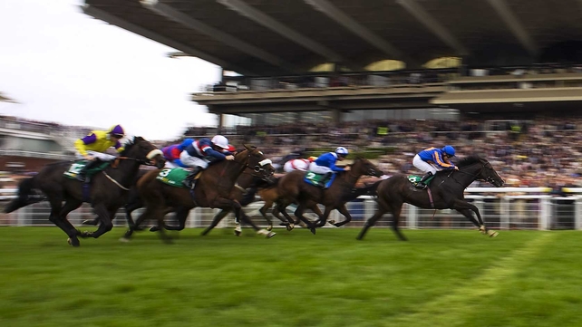 Molecomb Stakes winner Requinto has been supplemented for Friday's Group 1 Nunthorpe Stakes