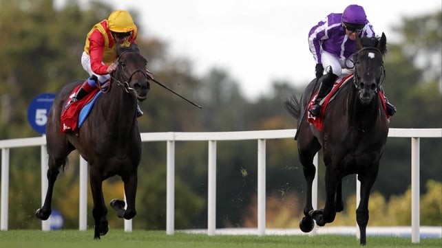 Snow Fairy - Gallantly chased home So You Think in the Irish Champion Stakes