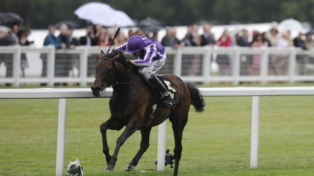 Fame and Glory and Jamie Spencer will compete in the Breeders' Cup Marathon on Friday