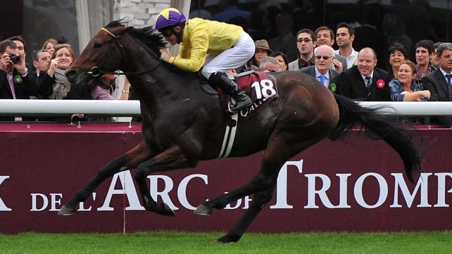 Sea The Stars' progeny will make their racecourse bow next season