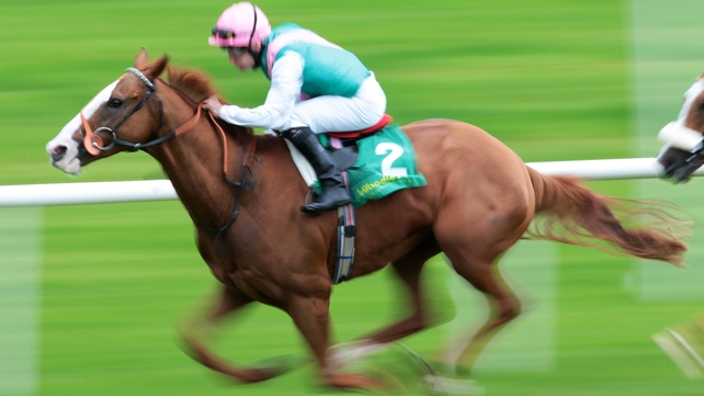 The globetrotting Cityscape finished tailed off at Sandown on his last start