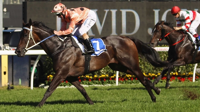 Black Caviar is likely to make her first British start in the Golden Jubilee Stakes at Royal Ascot