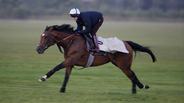 Frankel is expected to reappear in the JLT Lockinge Stakes