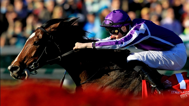 St Nicholas Abbey will have to contend with the challenge of Point of Entry at Santa Anita