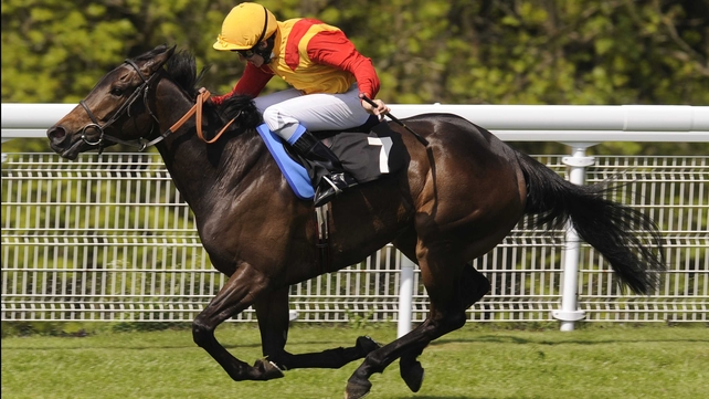 Snow Fairy, who was injured in the build up to the Hong Kong International, will soon return to full work