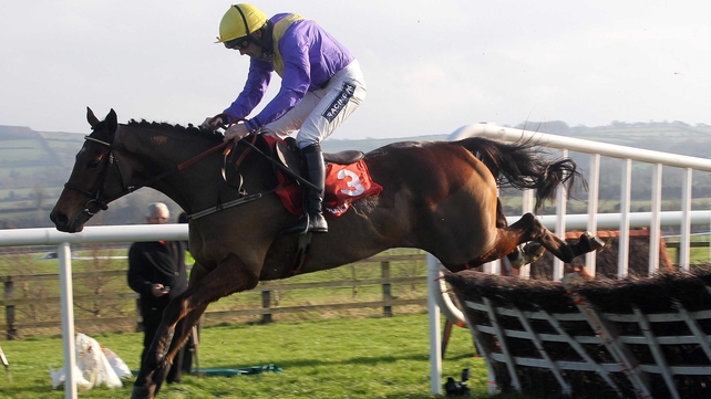 So Young won by six lengths at Gowran at the expense of favourite Zaidpour