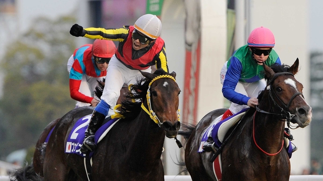 Local victory - Yasunari Iwata punches the air in delight after guiding Buena Vista to victory in the Japan Cup