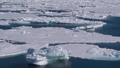 A climate change milestone