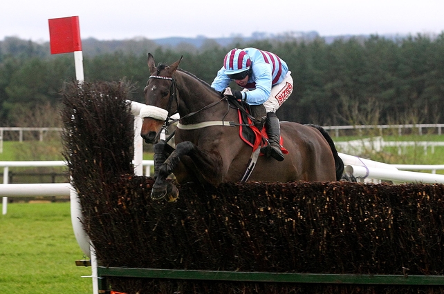 Rubi Light was third on a seasonal return at Gowran Park