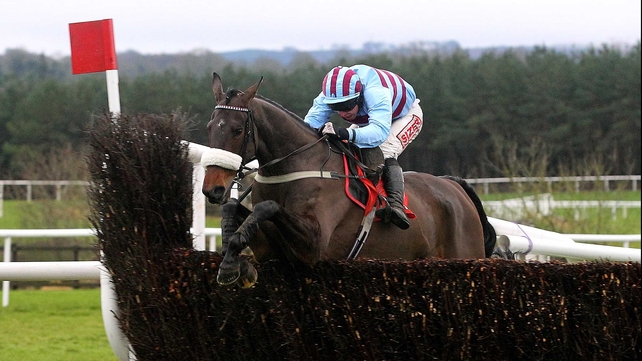 Rubi Light is a best-price 20-1 for the Ryanair Chase at the Cheltenham Festival