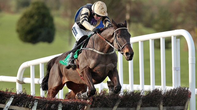 Boston Bob reverts to the smaller obstacles at the Kildare venue