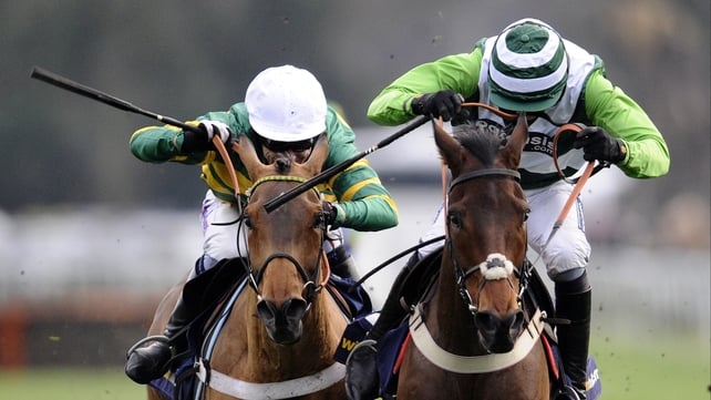 Last year's winner, Rock On Ruby (right) and former winner Binocular (left) among field for Tuesday's Champion Hurdle