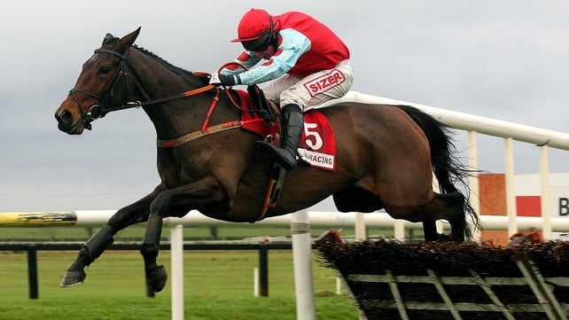Voler La Vedette enjoyed 13 wins including the Leopardstown Christmas Hurdle