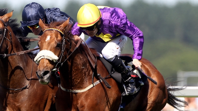 Dermot Weld is hoping to send Rite of Passage to the Gold Cup next year to repeat his amazing win in 2010