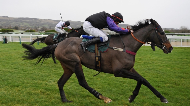 Champion Court can be backed at 10-1 for Saturday's big handicap