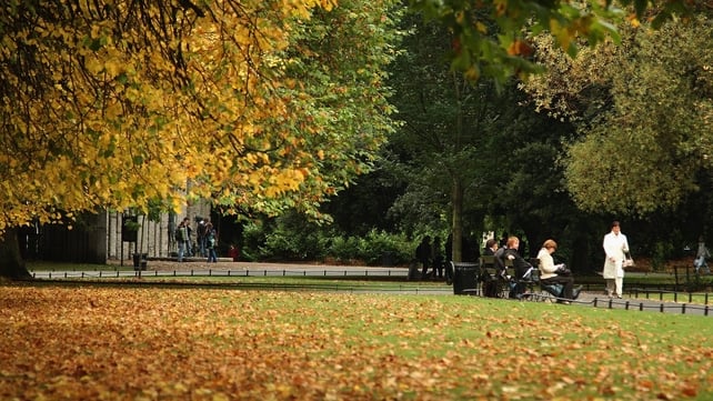The scheme would involve free usage in the city's parks The scheme would involve free usage in the city's parks