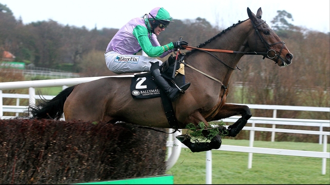 Hidden Cyclone is a best-prices 33-1 for the Ryanair Chase