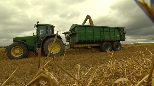 The poor weather is pushing up grain and animal feed costs so that will impact on the general income of beef farmers The poor weather is pushing up grain and animal feed costs so that will impact on the general income of beef farmers