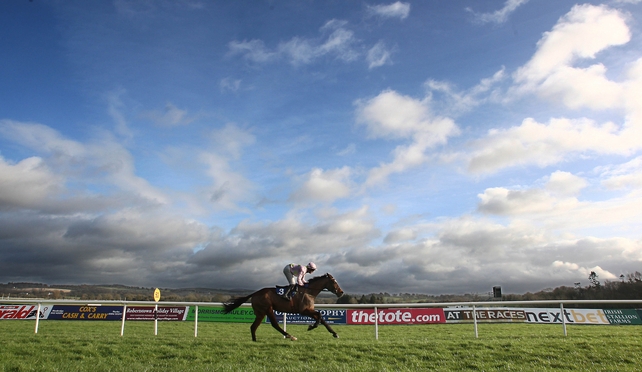 Mikael D'Haguenet runs at Fairyhouse on Saturday