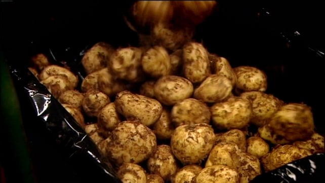 Each year farmers spend millions of euro keeping potato blight at bay with pesticides Each year farmers spend millions of euro keeping potato blight at bay with pesticides