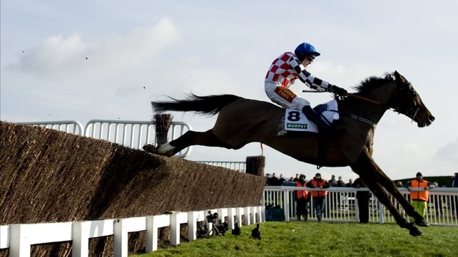 The Giant Bolster will eschew the Argento Chase in favour of the route he took to last season's Gold Cup