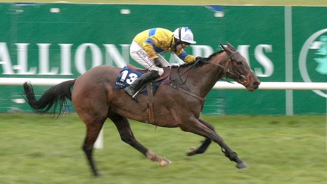 Burn And Turn continued Jessica Harrington's good run when taking the opener