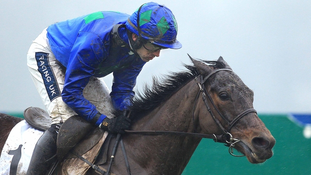 Hurricane Fly will be the big favourite in the Dobbins & Madigans Morgiana Hurdle