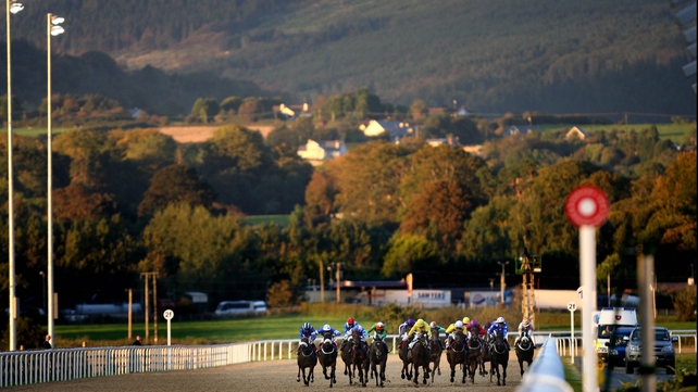 Bumper fields the order of the day at Dundalk